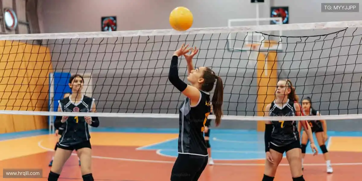 🎯精准数据，深度解析赛事背后的故事！